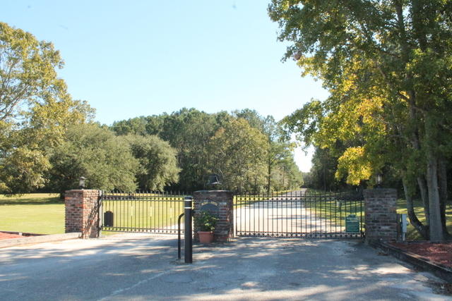4454 Lord Proprietors Road Meggett, SC 29449 - Photo 27 of 28 IMG_9663