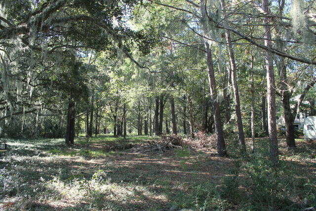 4454 Lord Proprietors Road Meggett, SC 29449 - Photo 4 of 28 IMG_9627