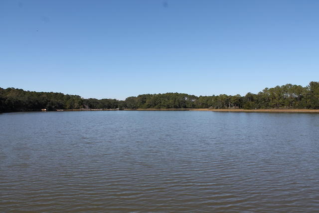 4454 Lord Proprietors Road Meggett, SC 29449 - Photo 6 of 28 IMG_9639
