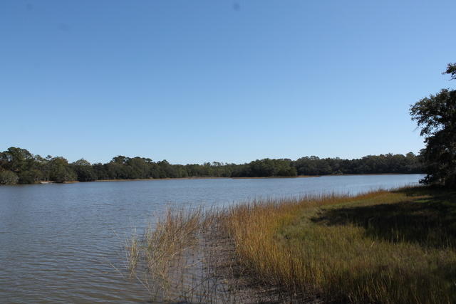 4454 Lord Proprietors Road Meggett, SC 29449 - Photo 7 of 28 IMG_9638