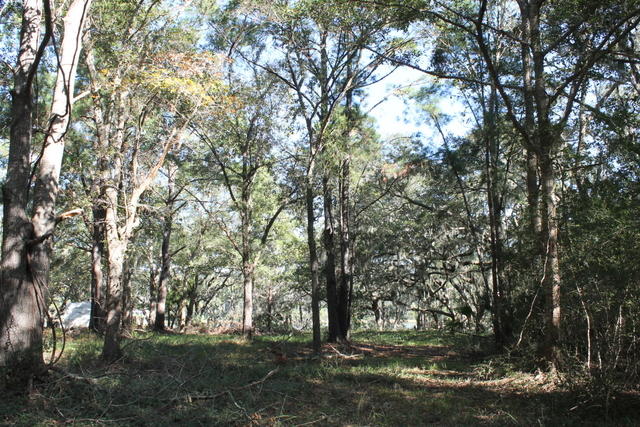 4454 Lord Proprietors Road Meggett, SC 29449 - Photo 10 of 28 IMG_9632