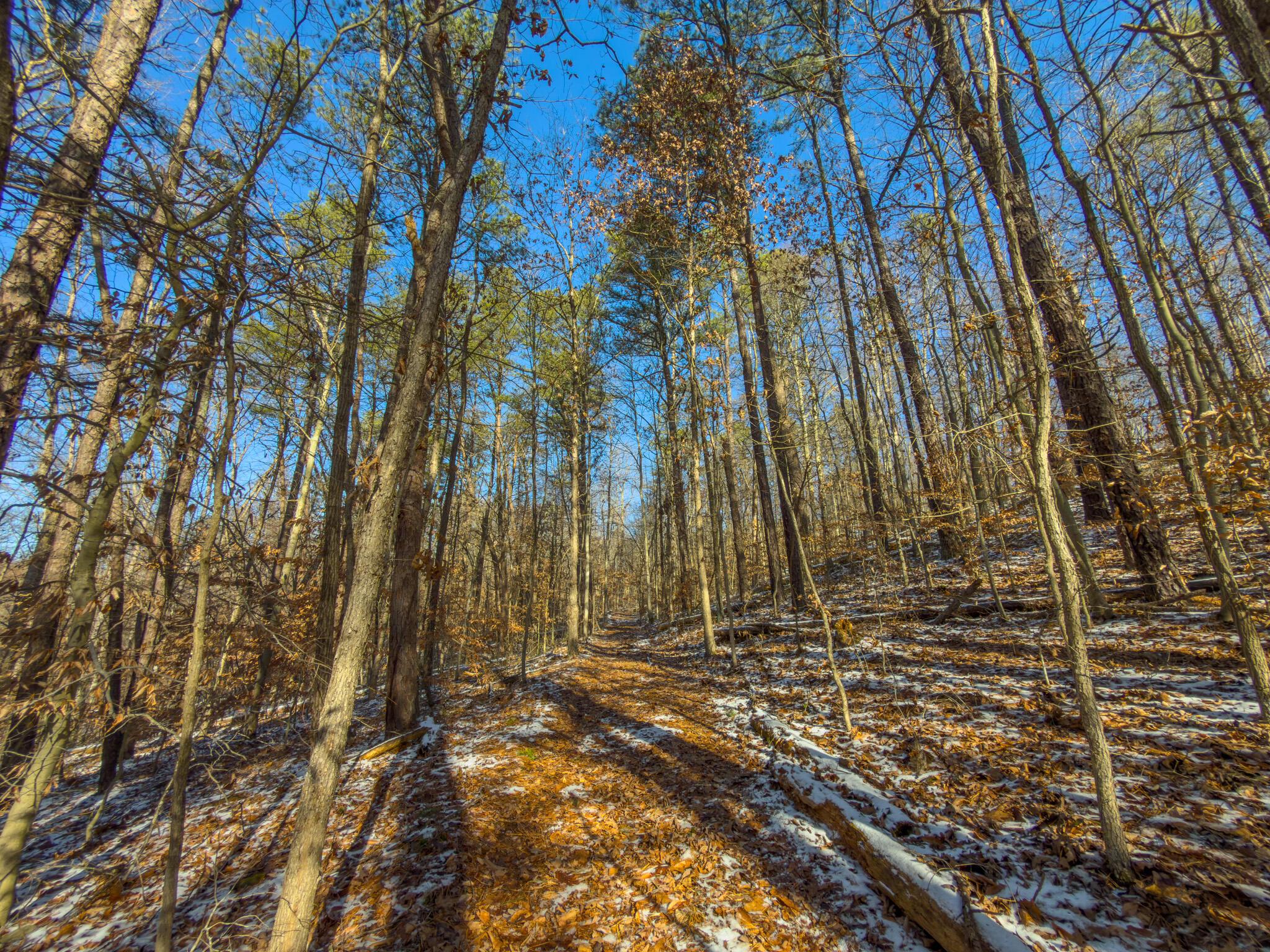 5230 Null Road Coolville, OH 45723 - Photo 14 of 54 Long fork rd.-50