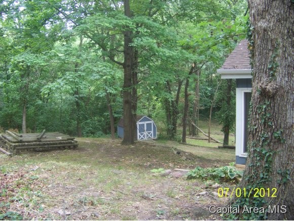 28 Penacook Drive Rochester, IL 62563 - Photo 14 of 24