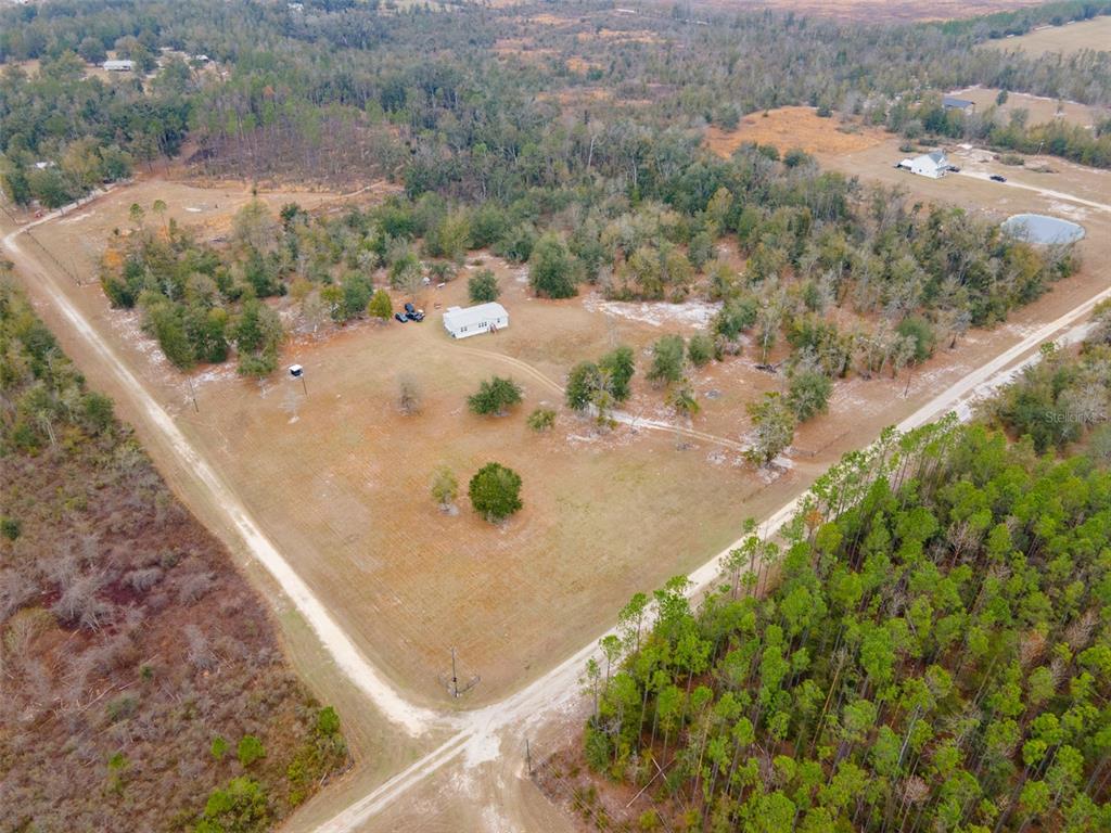 5431 163rd Path Live Oak, FL 32060 - Photo 11 of 49 a view of a dry yard with large trees