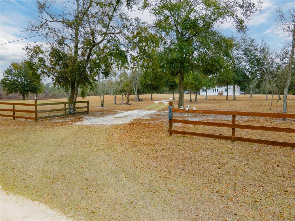 5431 163rd Path Live Oak, FL 32060 - Photo 12 of 49 a view of backyard space and tree