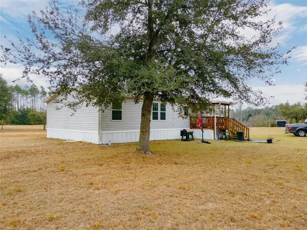 a view of a yard with a tree