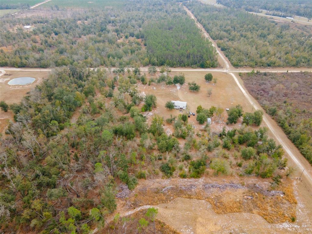 5431 163rd Path Live Oak, FL 32060 - Photo 9 of 49 a view of a yard with a dry yard