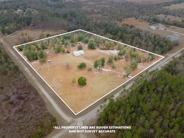 a view of a dry yard with large trees