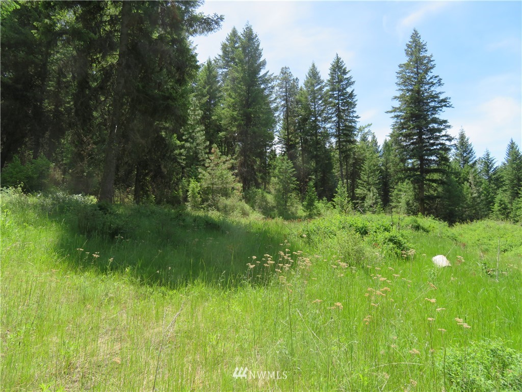 -tbd Boulder Creek Road Curlew, WA 99118 - Photo 2 of 20 Gallery Image 2