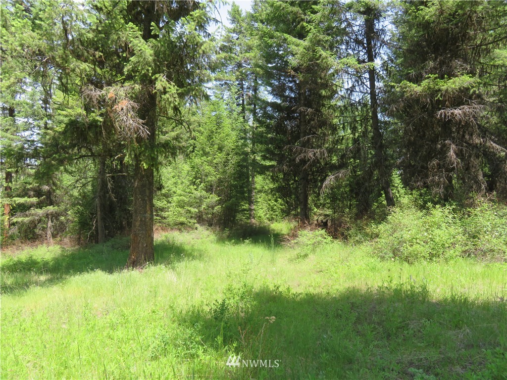 -tbd Boulder Creek Road Curlew, WA 99118 - Photo 11 of 20 Gallery Image 11