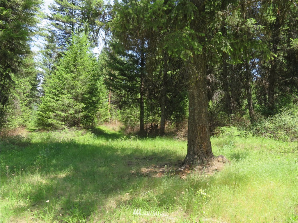 -tbd Boulder Creek Road Curlew, WA 99118 - Photo 12 of 20 Gallery Image 12