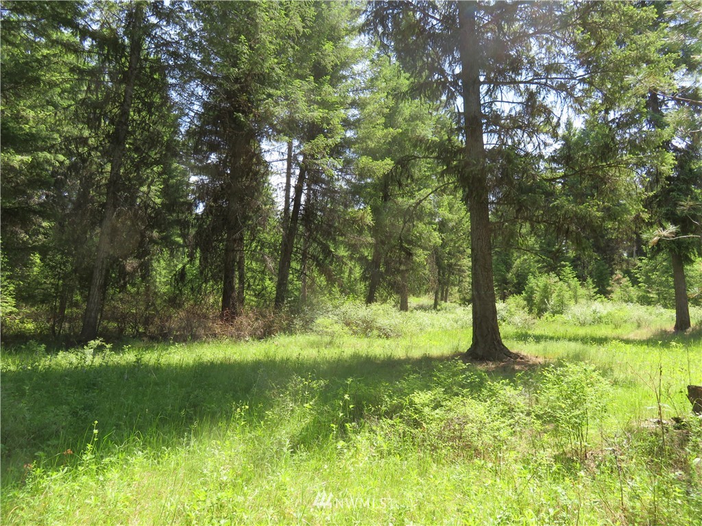 -tbd Boulder Creek Road Curlew, WA 99118 - Photo 13 of 20 Gallery Image 13