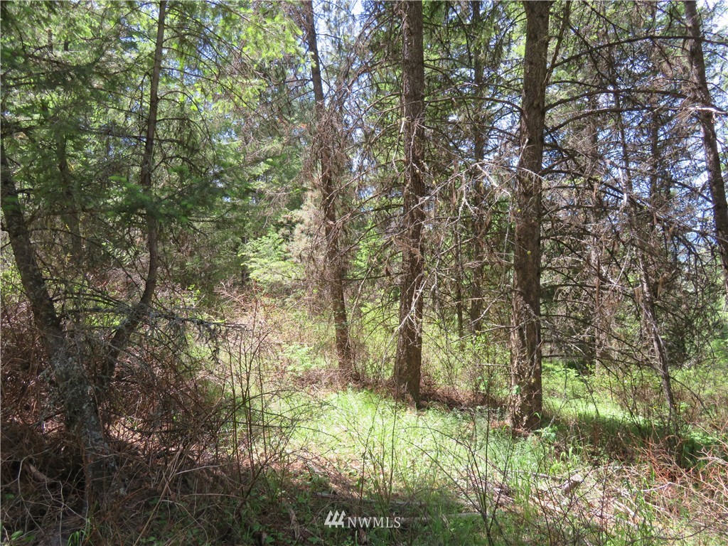 -tbd Boulder Creek Road Curlew, WA 99118 - Photo 16 of 20 Gallery Image 16