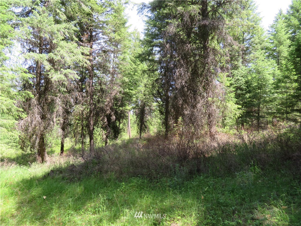 -tbd Boulder Creek Road Curlew, WA 99118 - Photo 18 of 20 Gallery Image 18