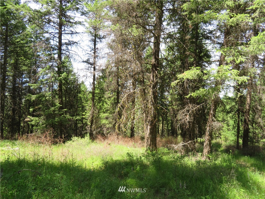 -tbd Boulder Creek Road Curlew, WA 99118 - Photo 19 of 20 Gallery Image 19