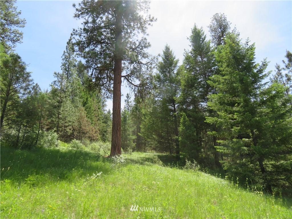 -tbd Boulder Creek Road Curlew, WA 99118 - Photo 20 of 20 Gallery Image 20