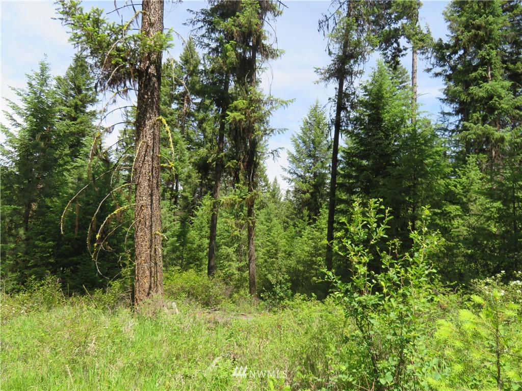-tbd Boulder Creek Road Curlew, WA 99118 - Photo 3 of 20 Gallery Image 3