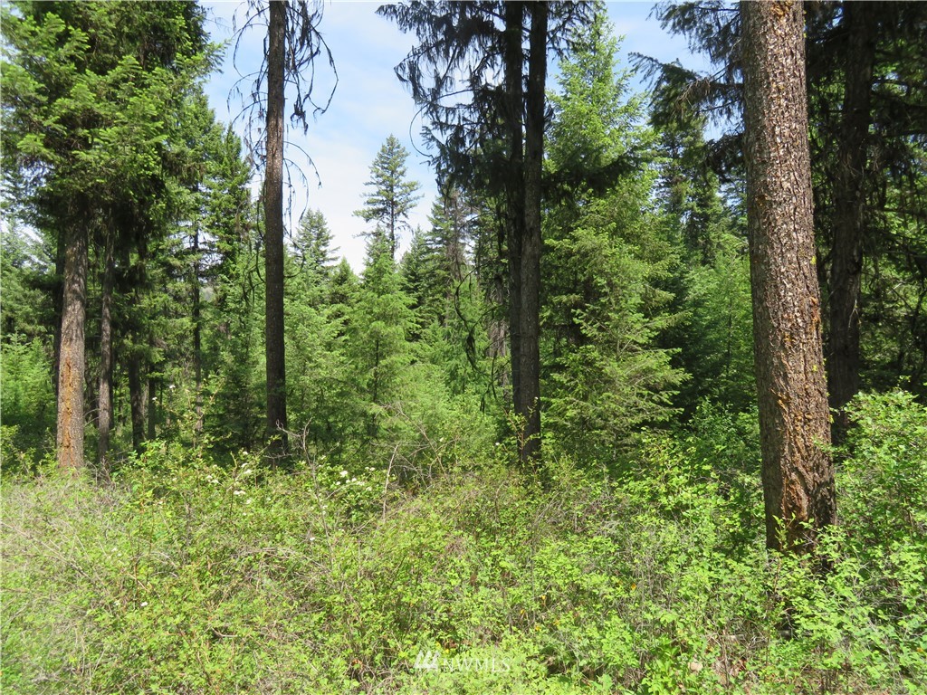 -tbd Boulder Creek Road Curlew, WA 99118 - Photo 5 of 20 Gallery Image 5