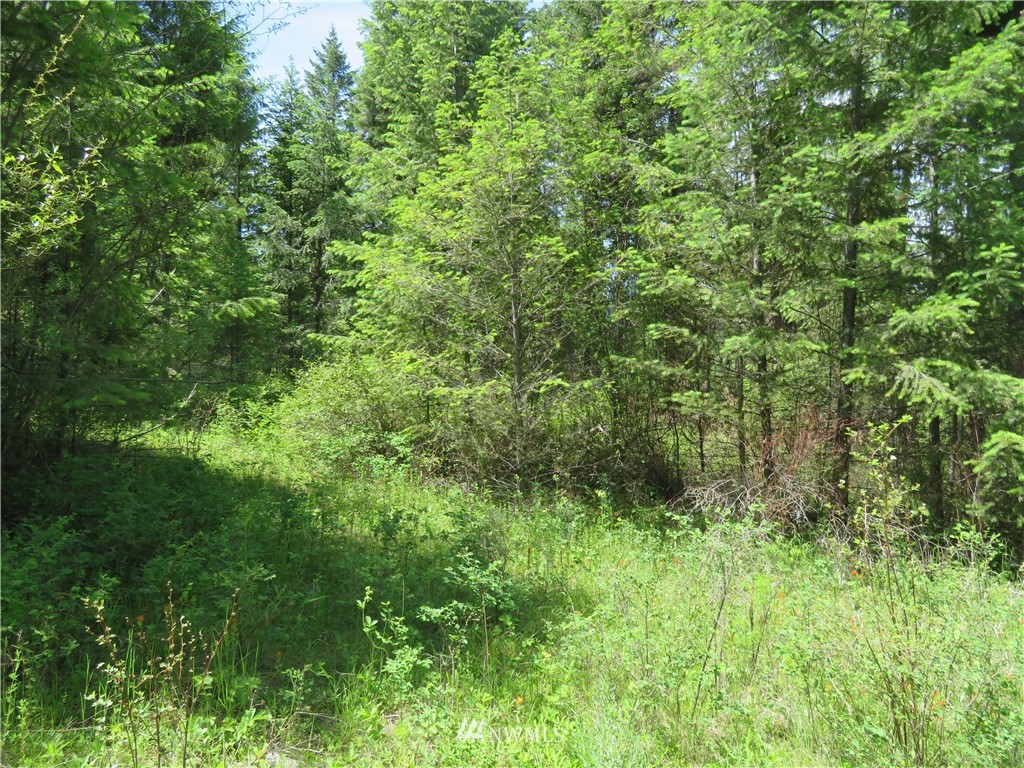 -tbd Boulder Creek Road Curlew, WA 99118 - Photo 7 of 20 Gallery Image 7
