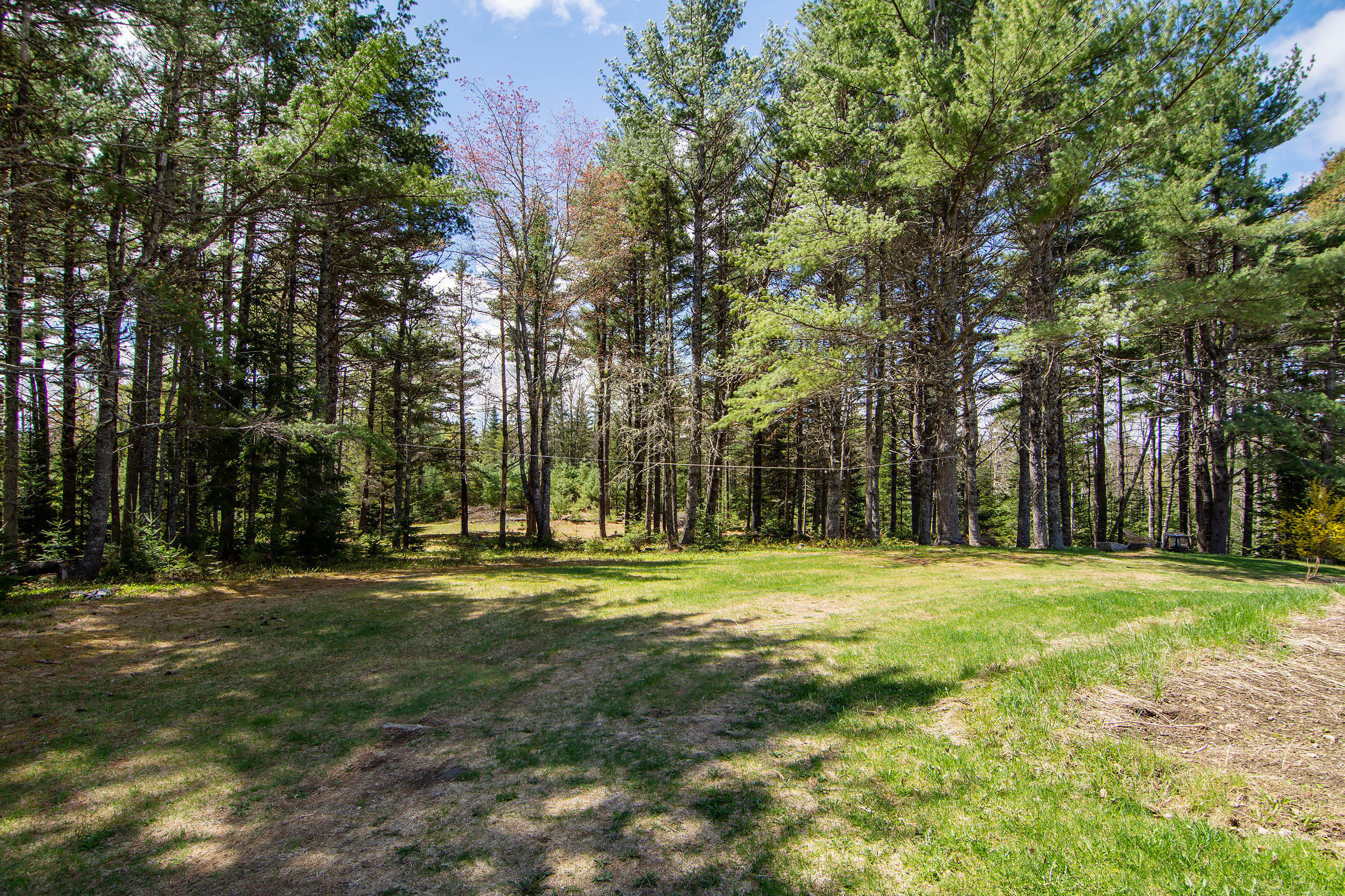 393 Pierces Pond Road Penobscot, ME 04476 - Photo 19 of 25 393 Pierces Pond Road-print-023-8-Yard-2