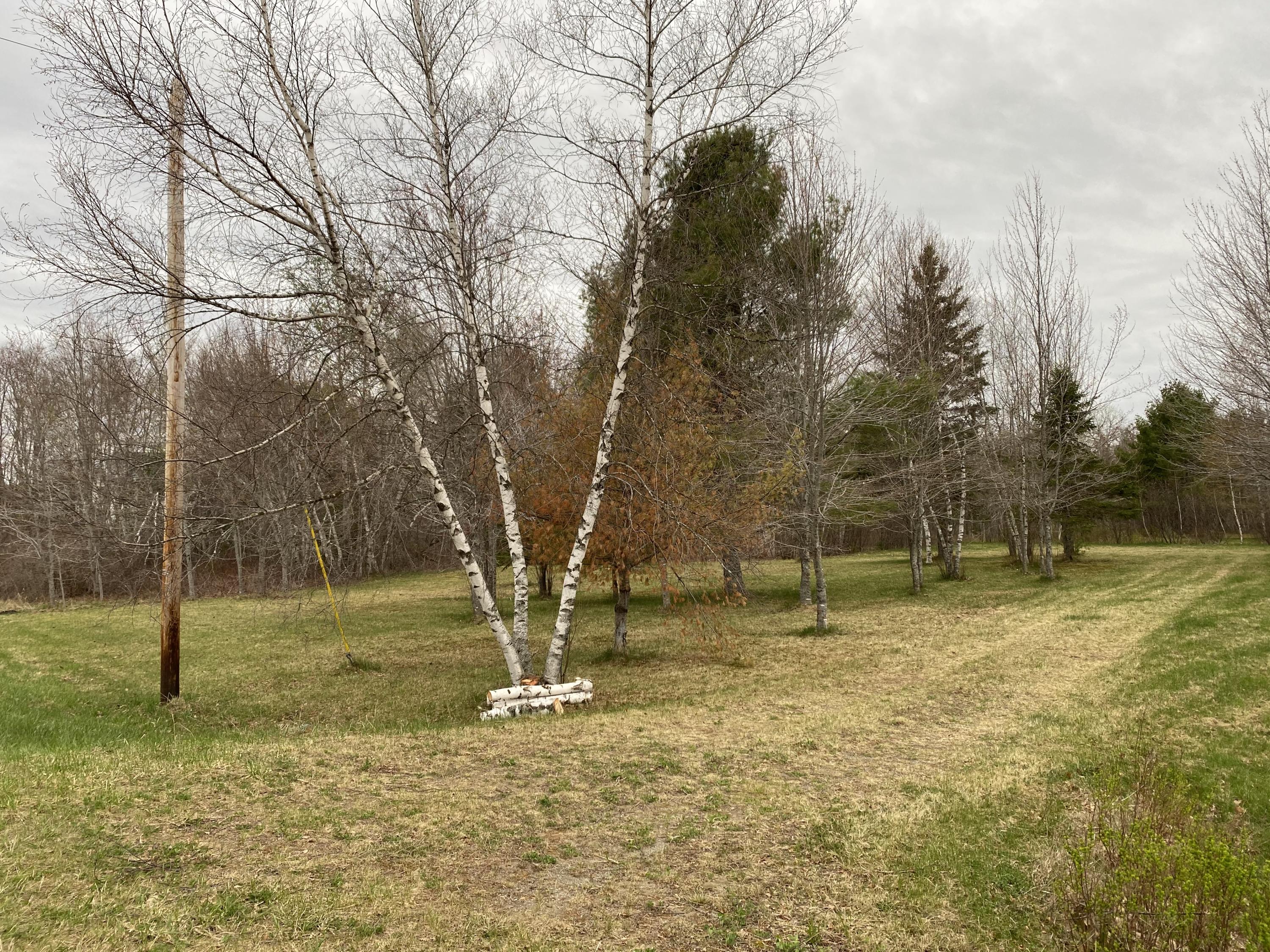 0 Dixmont Road Etna, ME 04434 - Photo 1 of 3 IMG-1807