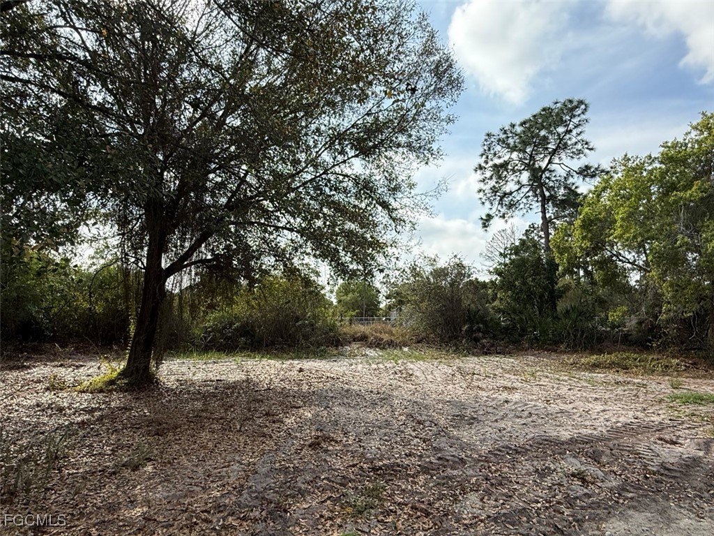 580 South Palm Street Clewiston, FL 33440 - Photo 11 of 18 a view of backyard with green space