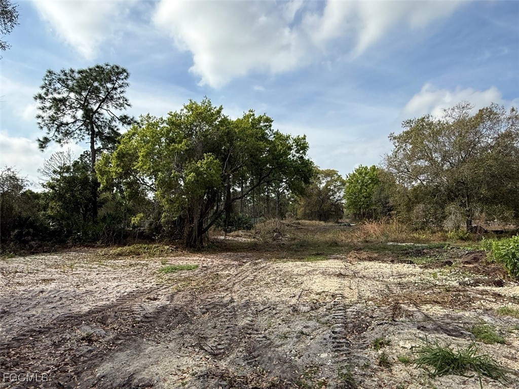 580 South Palm Street Clewiston, FL 33440 - Photo 12 of 18 a view of a yard with trees