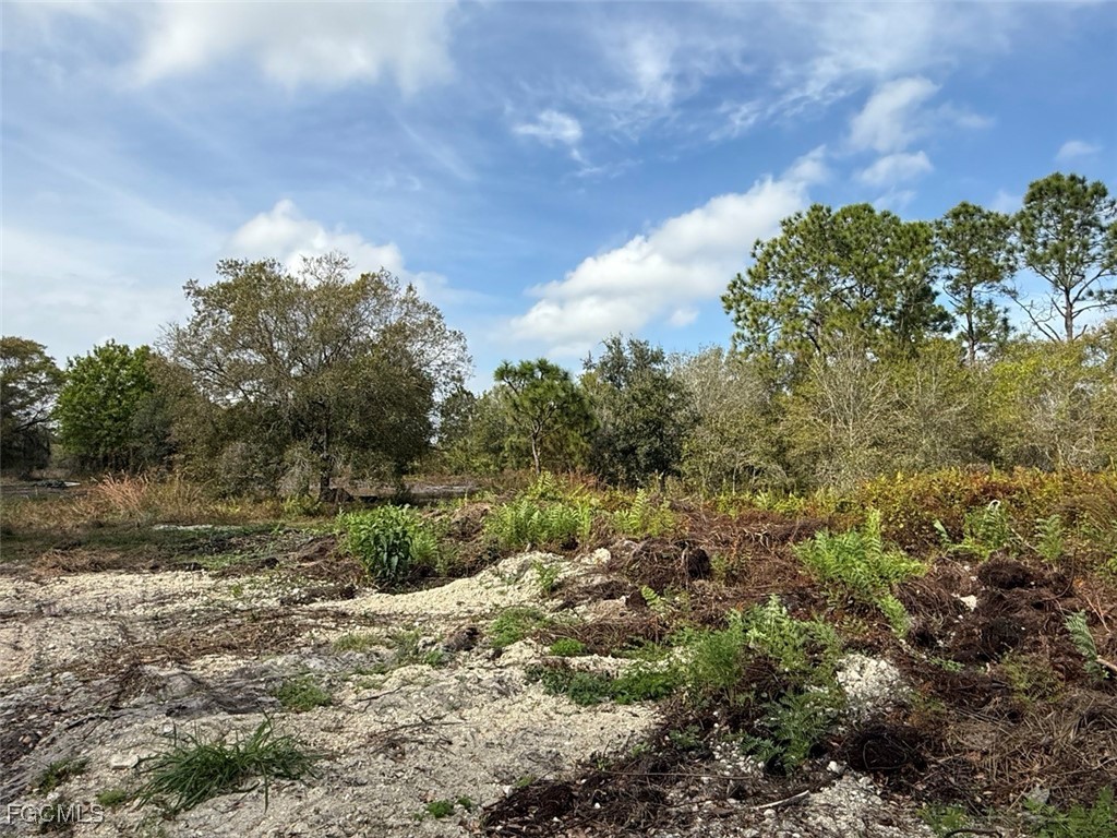580 South Palm Street Clewiston, FL 33440 - Photo 13 of 18 a view of a yard with a tree