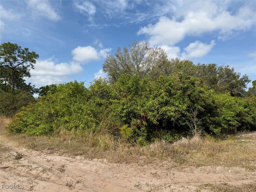 580 South Palm Street Clewiston, FL 33440 - Photo 14 of 18 a view of a yard with plants and wooden fence