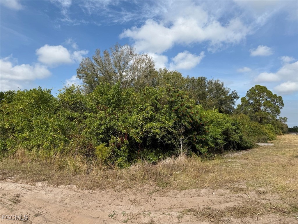 580 South Palm Street Clewiston, FL 33440 - Photo 15 of 18 a view of a bunch of trees in a yard