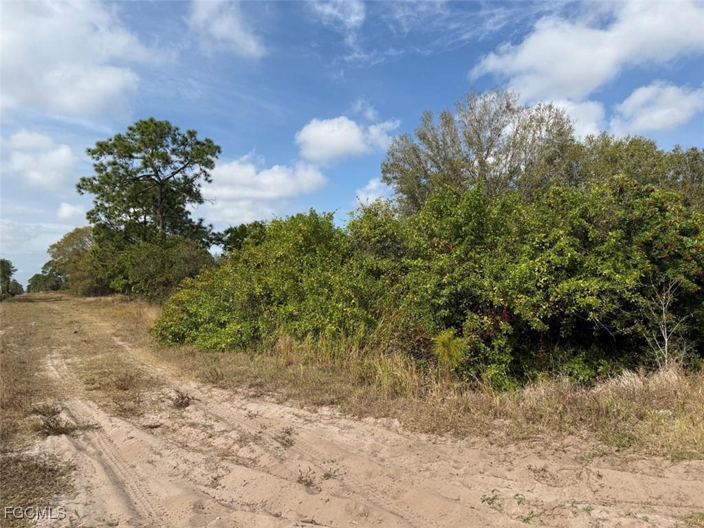 580 South Palm Street Clewiston, FL 33440 - Photo 16 of 18 a view of a yard with plants and a fountain