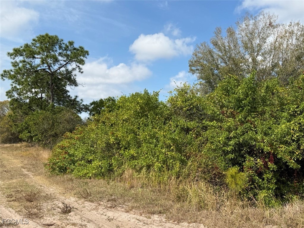 580 South Palm Street Clewiston, FL 33440 - Photo 17 of 18 a view of a bunch of trees