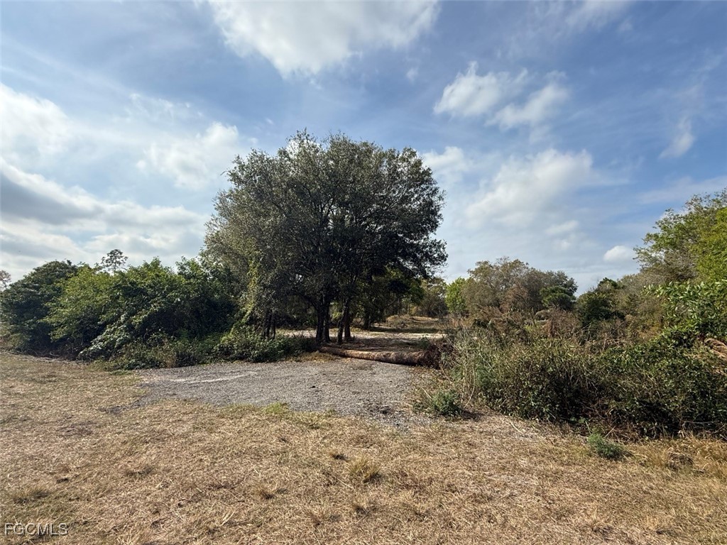 580 South Palm Street Clewiston, FL 33440 - Photo 2 of 18 a view of outdoor space