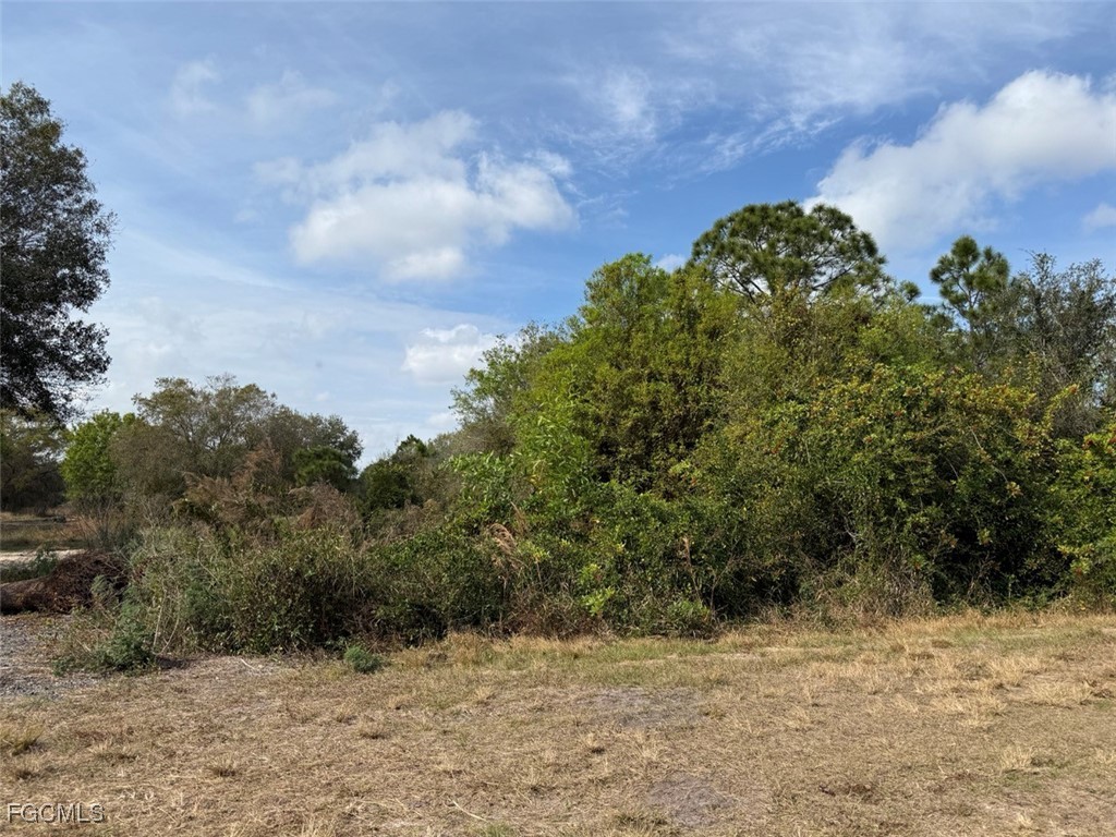 580 South Palm Street Clewiston, FL 33440 - Photo 3 of 18