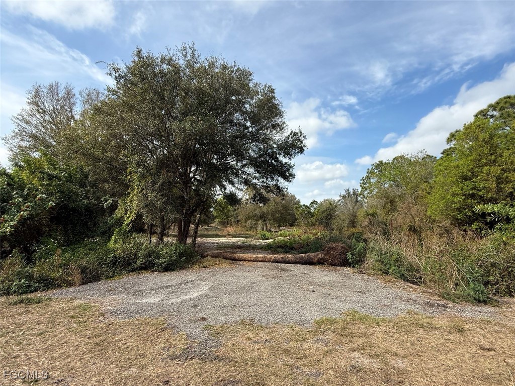 580 South Palm Street Clewiston, FL 33440 - Photo 4 of 18 a view of outdoor space with trees all around