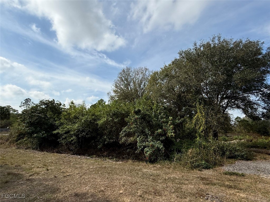 580 South Palm Street Clewiston, FL 33440 - Photo 5 of 18 a view of outdoor space and trees