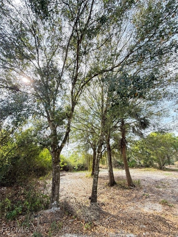 580 South Palm Street Clewiston, FL 33440 - Photo 6 of 18 a view of a trees with a tree