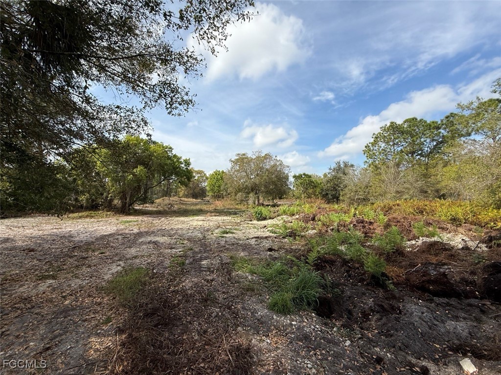 580 South Palm Street Clewiston, FL 33440 - Photo 7 of 18 a view of outdoor space and yard