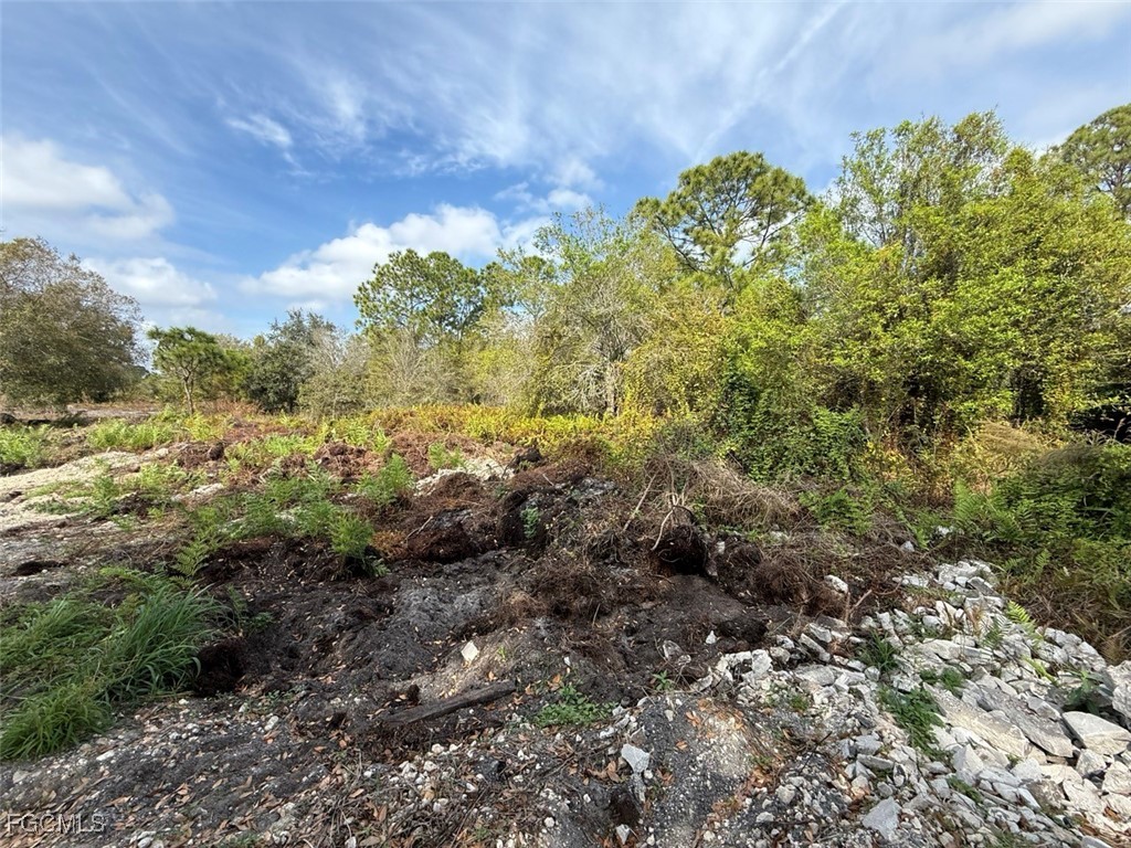 580 South Palm Street Clewiston, FL 33440 - Photo 8 of 18 a view of a garden with plants and a building