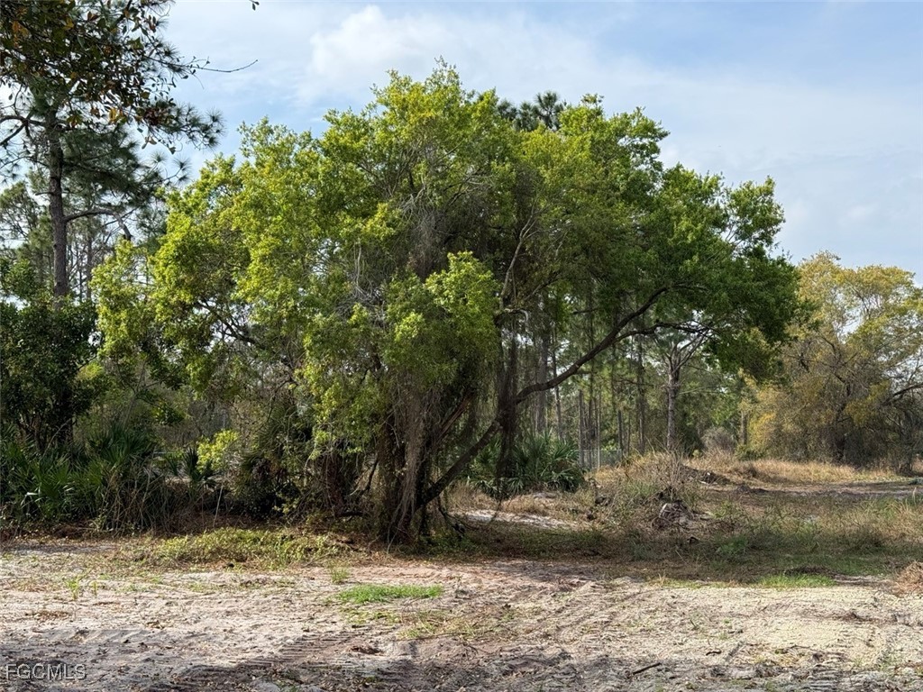580 South Palm Street Clewiston, FL 33440 - Photo 9 of 18 a view of a yard with trees