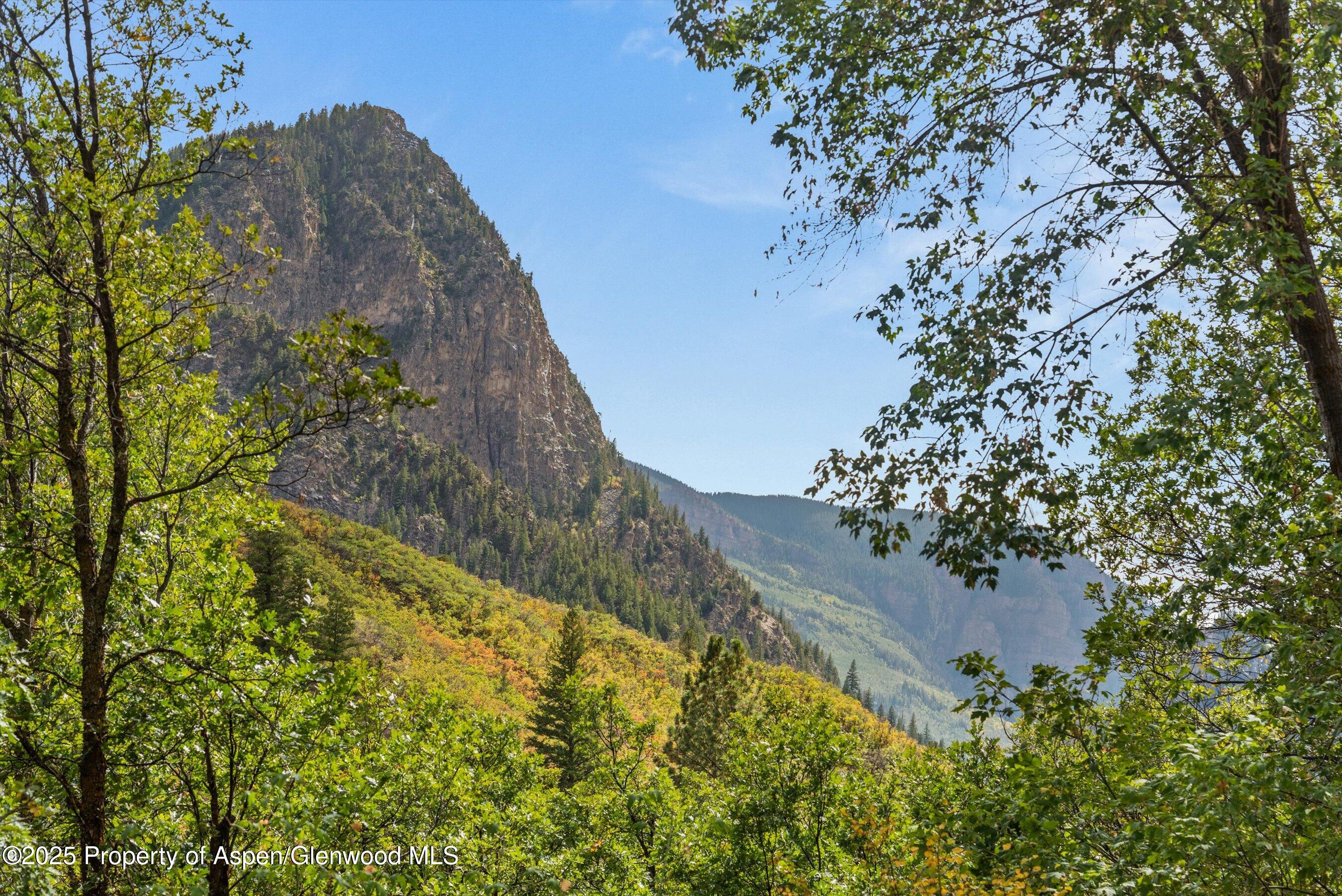 166 Ute Trail Carbondale, CO 81623 - Photo 11 of 38 a view of a yard with plants and a large tree