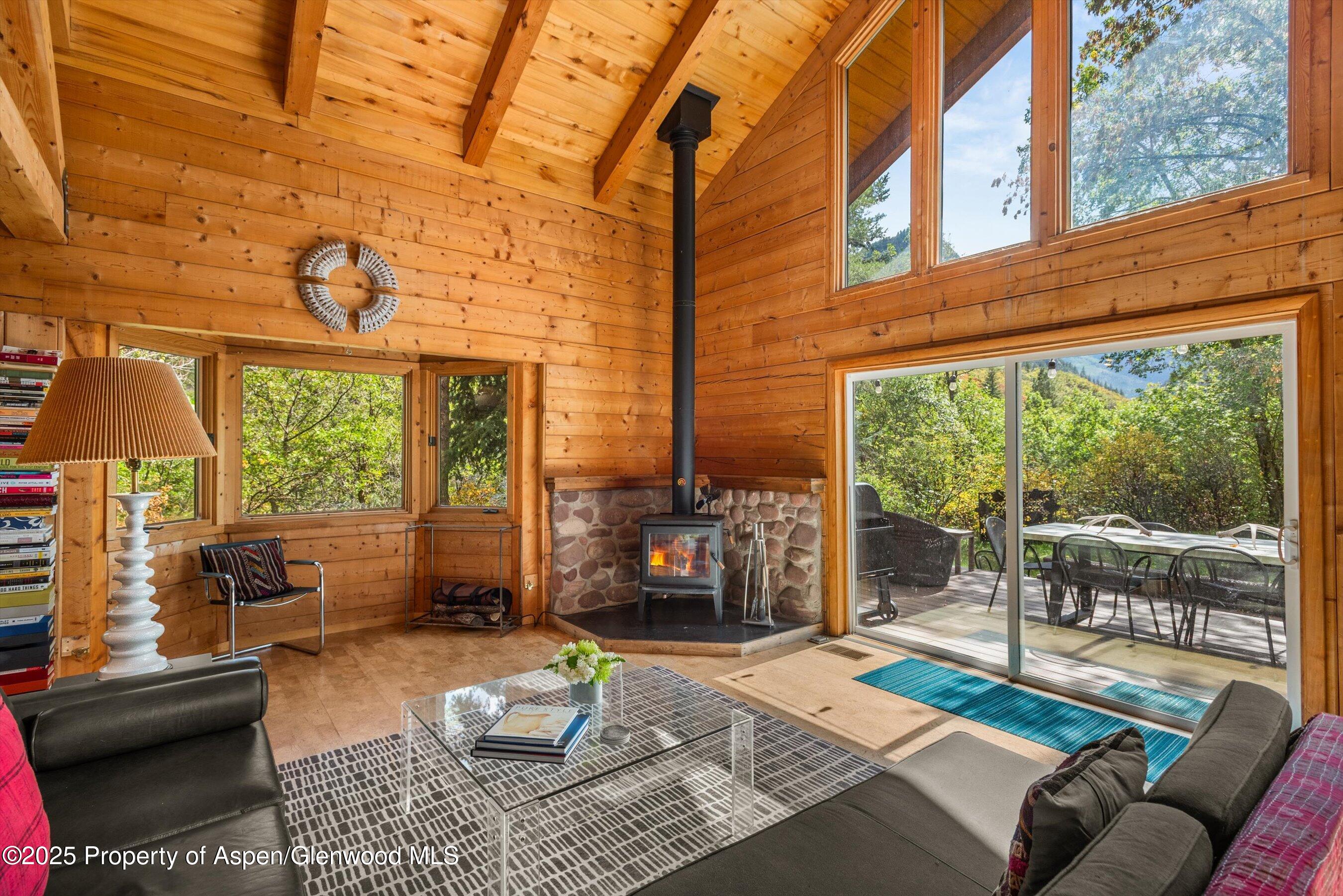 166 Ute Trail Carbondale, CO 81623 - Photo 14 of 38 a living room with patio a couch and a fireplace