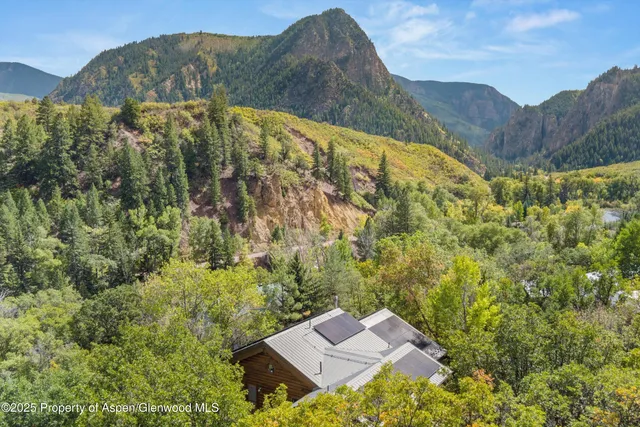 a view of a forest with a mountain