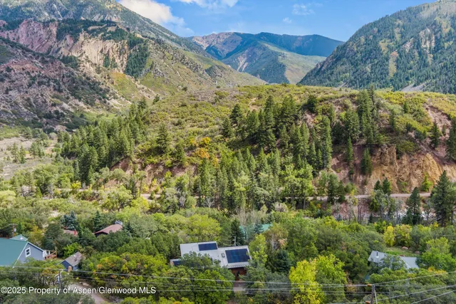 a view of a field with a tree