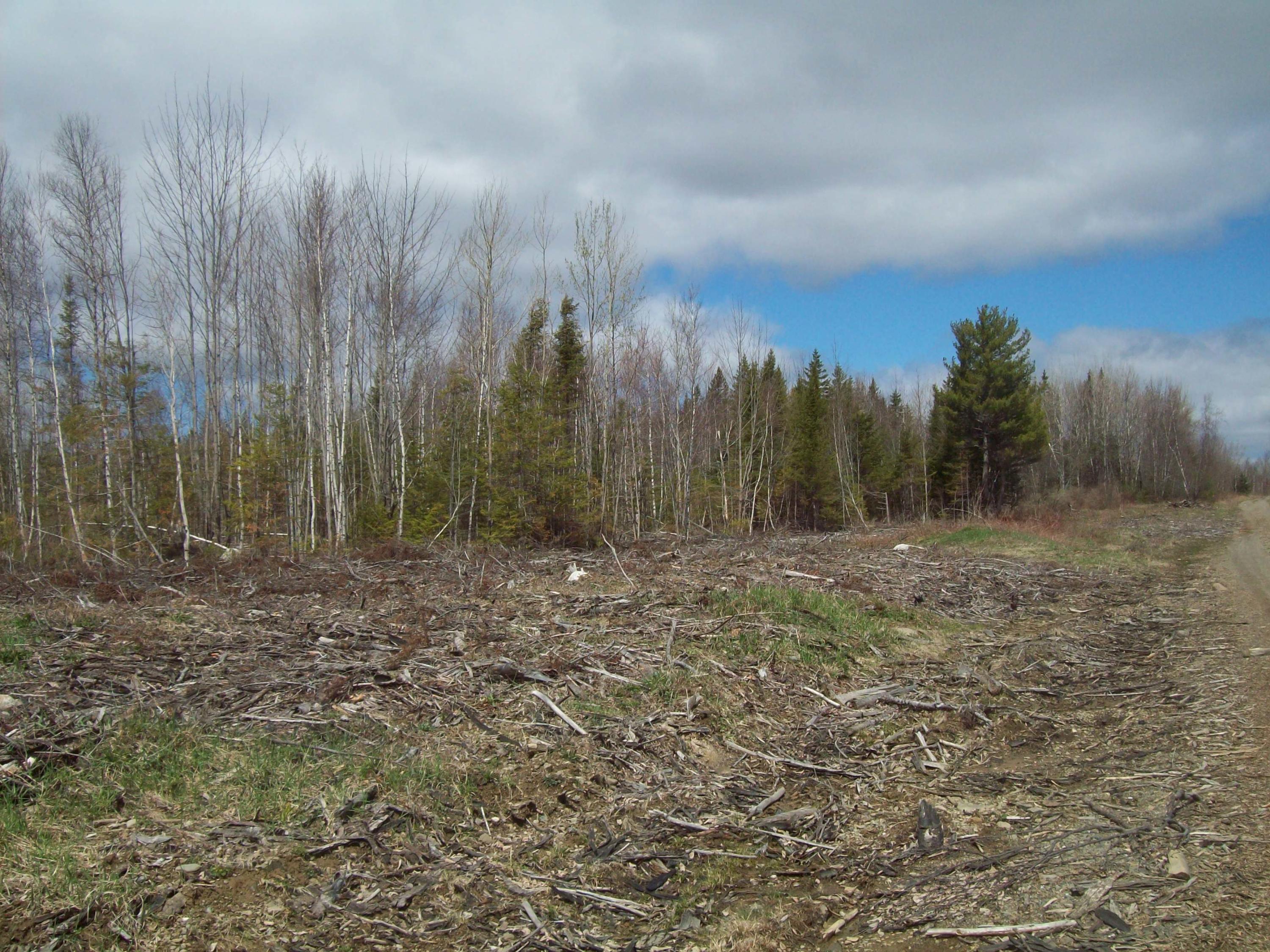 Tbd Sheepskin Road Carroll Plt, ME 04487 - Photo 9 of 23 100_1794