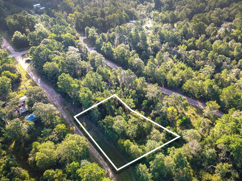 a view of a tree with a tree