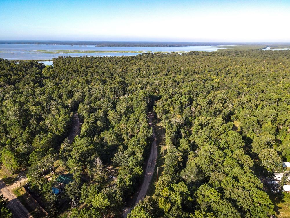 Lot 823 South Ridgemont Drive Trinity, TX 75862 - Photo 2 of 8 a view of a large green field with lots of bushes