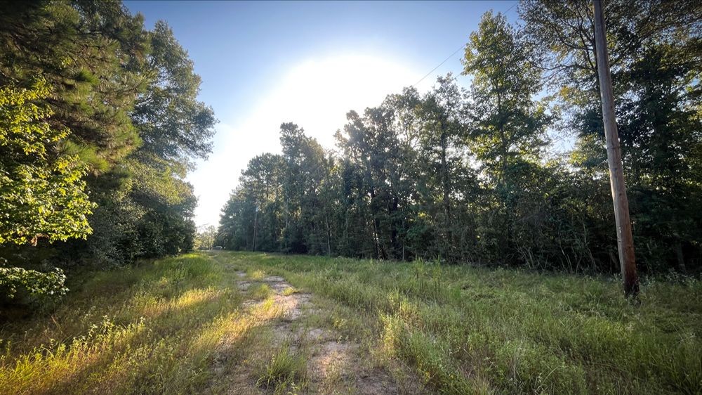 Lot 823 South Ridgemont Drive Trinity, TX 75862 - Photo 8 of 8 a view of outdoor space and yard
