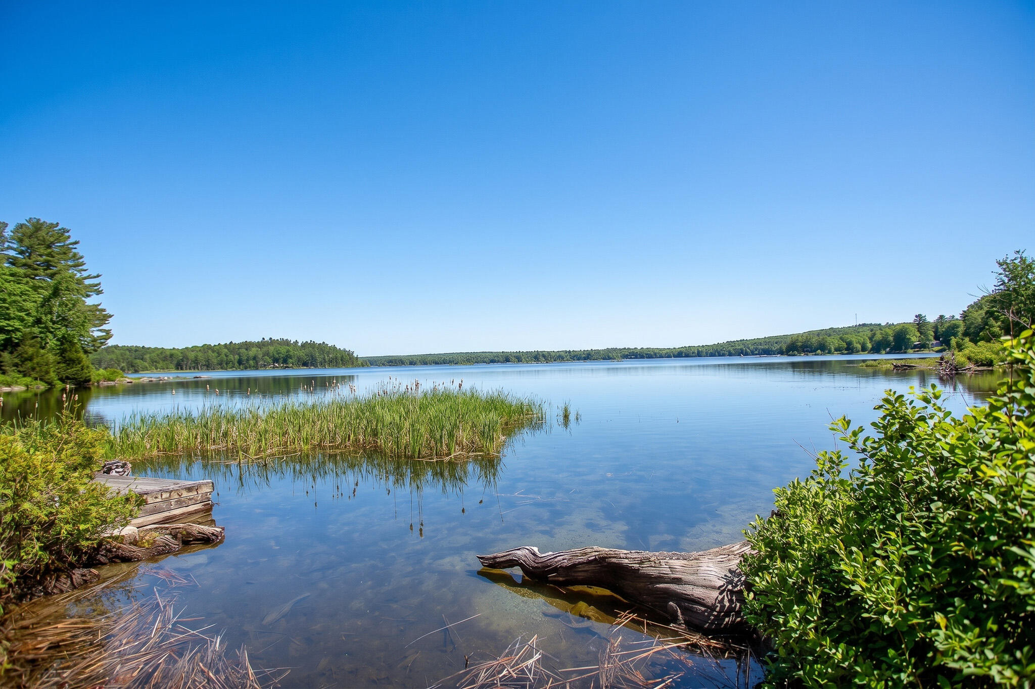 535 Green Lake Road Dedham, ME 04429 - Photo 2 of 80 summer-2