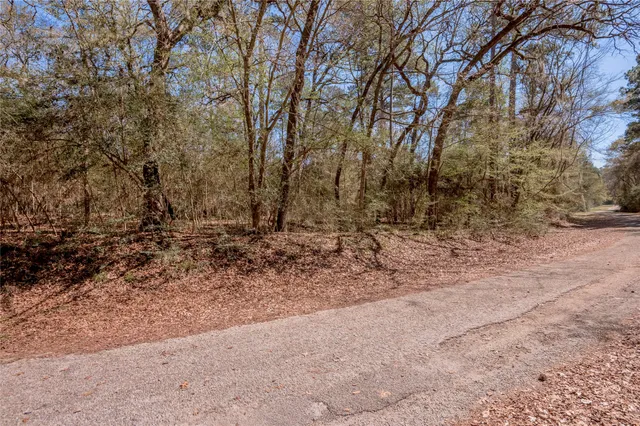 $500 | Lot 5 Spreading Oak, Trinity, TX 75862